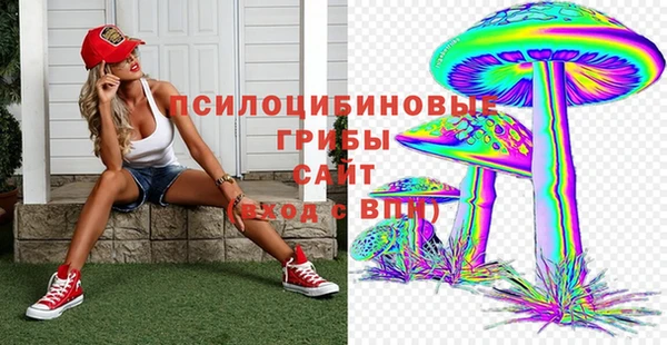 круглые Билибино