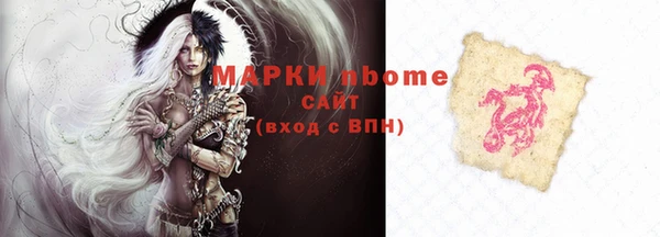 дживик Надым