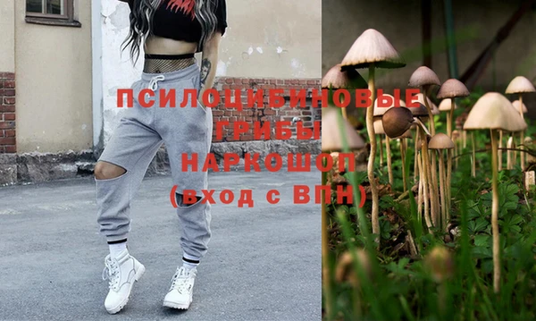 дживик Надым