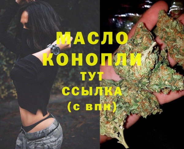 дживик Надым