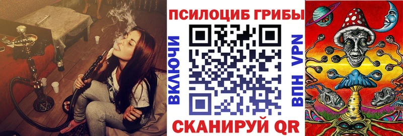 Псилоцибиновые грибы Magic Shrooms  гидра как зайти  Шали 