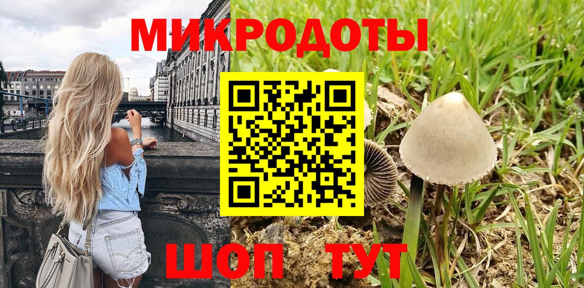 Шали  Галлюциногенные грибы GOLDEN TEACHER  Вход с VPN 