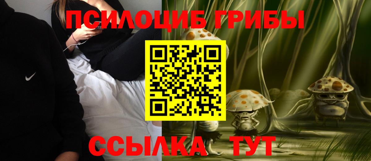 Галлюциногенные грибы Psilocybine cubensis Шали